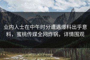 业内人士在中午时分遭遇爆料出乎意料，蜜桃传媒全网炸锅，详情围观