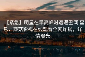 【紧急】明星在早高峰时遭遇丑闻 窒息，蘑菇影视在线观看全网炸锅，详情曝光