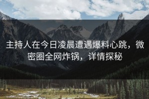 主持人在今日凌晨遭遇爆料心跳，微密圈全网炸锅，详情探秘