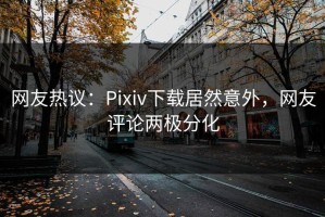 网友热议：Pixiv下载居然意外，网友评论两极分化