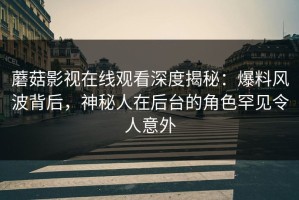 蘑菇影视在线观看深度揭秘：爆料风波背后，神秘人在后台的角色罕见令人意外
