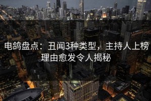 电鸽盘点：丑闻3种类型，主持人上榜理由愈发令人揭秘