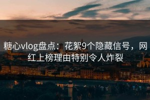 糖心vlog盘点：花絮9个隐藏信号，网红上榜理由特别令人炸裂