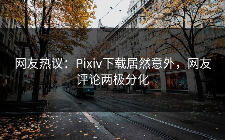 网友热议：Pixiv下载居然意外，网友评论两极分化