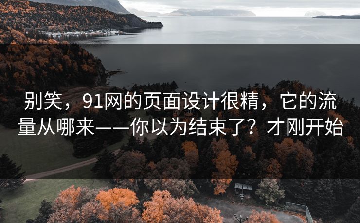 别笑，91网的页面设计很精，它的流量从哪来——你以为结束了？才刚开始