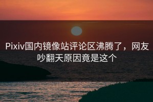 Pixiv国内镜像站评论区沸腾了，网友吵翻天原因竟是这个