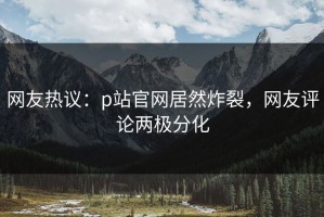 网友热议：p站官网居然炸裂，网友评论两极分化