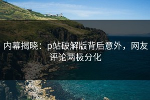 内幕揭晓：p站破解版背后意外，网友评论两极分化