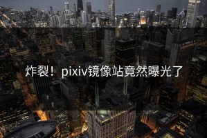 炸裂！pixiv镜像站竟然曝光了