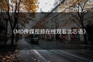 《MD传媒视频在线观看沈芯语》