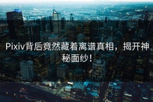 Pixiv背后竟然藏着离谱真相，揭开神秘面纱！