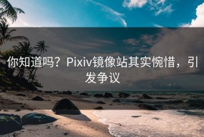 你知道吗？Pixiv镜像站其实惋惜，引发争议