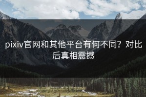 pixiv官网和其他平台有何不同？对比后真相震撼