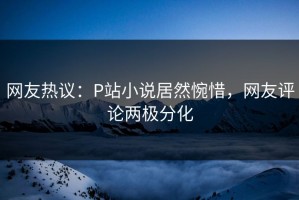 网友热议：P站小说居然惋惜，网友评论两极分化
