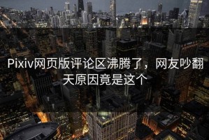 Pixiv网页版评论区沸腾了，网友吵翻天原因竟是这个