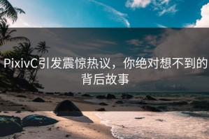 PixivC引发震惊热议，你绝对想不到的背后故事
