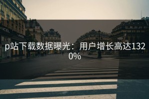 p站下载数据曝光：用户增长高达1320%