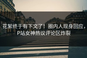 花絮终于有下文了！圈内人现身回应，P站女神热议评论区炸裂