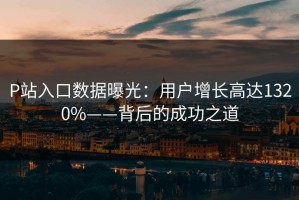 P站入口数据曝光：用户增长高达1320%——背后的成功之道