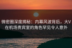 微密圈深度揭秘：内幕风波背后，大V在机场贵宾室的角色罕见令人意外