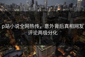 p站小说全网热传，意外背后真相网友评论两极分化