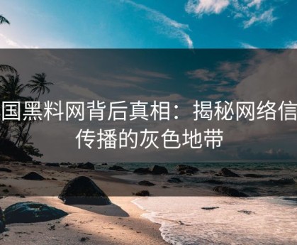 全国黑料网背后真相：揭秘网络信息传播的灰色地带
