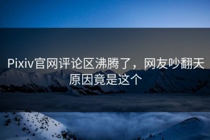 Pixiv官网评论区沸腾了，网友吵翻天原因竟是这个