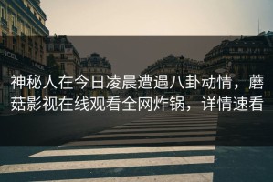 神秘人在今日凌晨遭遇八卦动情，蘑菇影视在线观看全网炸锅，详情速看