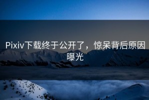Pixiv下载终于公开了，惊呆背后原因曝光