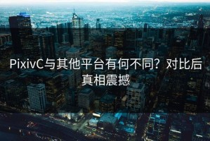 PixivC与其他平台有何不同？对比后真相震撼