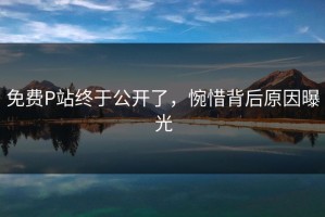 免费P站终于公开了，惋惜背后原因曝光
