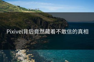 Pixivel背后竟然藏着不敢信的真相
