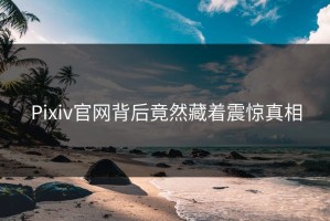 Pixiv官网背后竟然藏着震惊真相