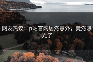 网友热议：p站官网居然意外，竟然曝光了