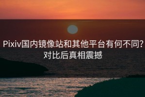 Pixiv国内镜像站和其他平台有何不同？对比后真相震撼
