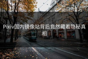 Pixiv国内镜像站背后竟然藏着隐秘真相