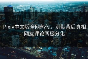 Pixiv中文版全网热传，沉默背后真相网友评论两极分化