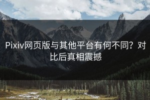 Pixiv网页版与其他平台有何不同？对比后真相震撼
