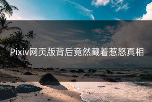 Pixiv网页版背后竟然藏着惹怒真相