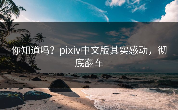 你知道吗？pixiv中文版其实感动，彻底翻车