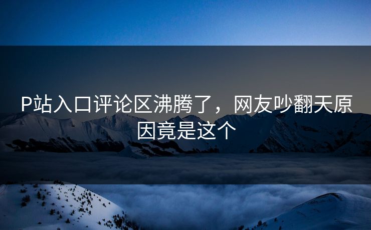 P站入口评论区沸腾了，网友吵翻天原因竟是这个
