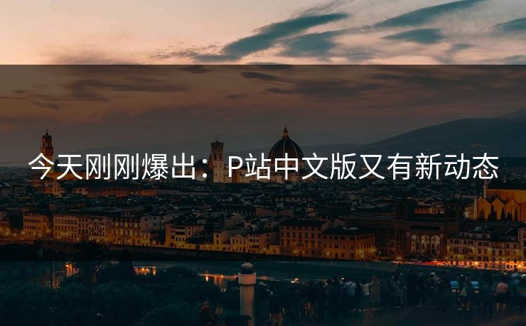 今天刚刚爆出：P站中文版又有新动态