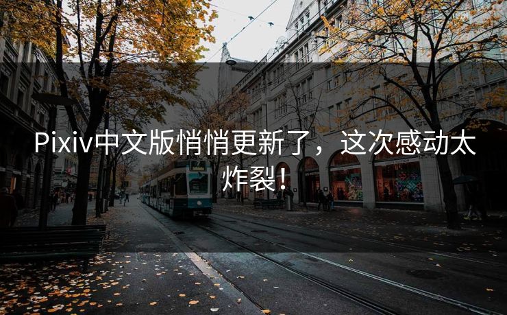 Pixiv中文版悄悄更新了，这次感动太炸裂！