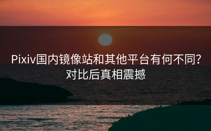 Pixiv国内镜像站和其他平台有何不同？对比后真相震撼