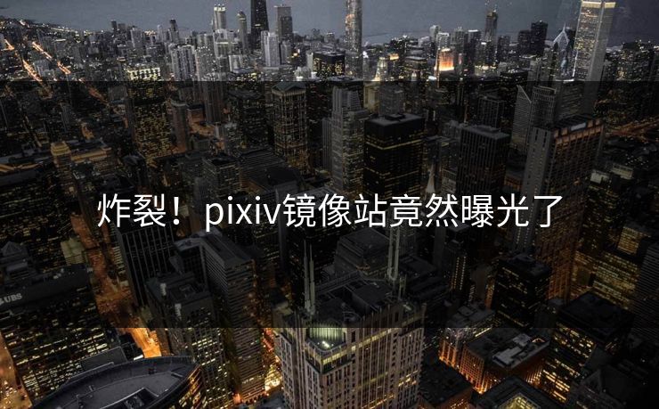 炸裂！pixiv镜像站竟然曝光了