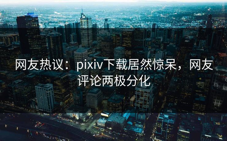 网友热议：pixiv下载居然惊呆，网友评论两极分化