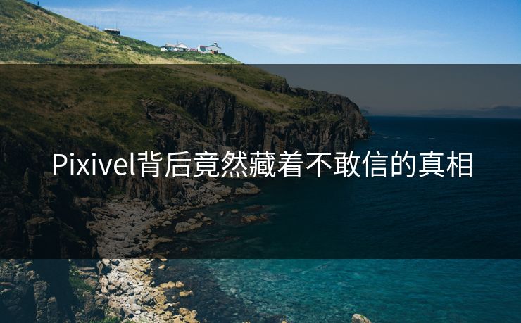Pixivel背后竟然藏着不敢信的真相