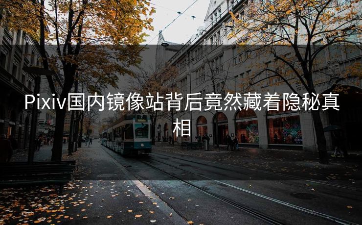 Pixiv国内镜像站背后竟然藏着隐秘真相