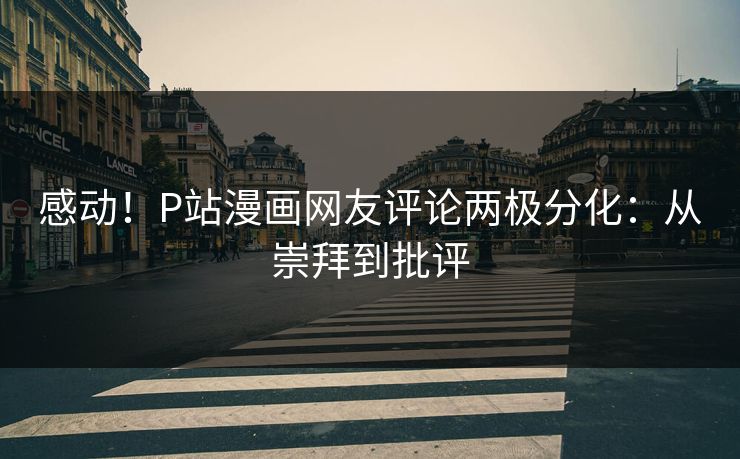 感动！P站漫画网友评论两极分化：从崇拜到批评