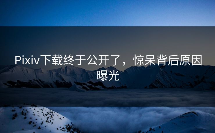Pixiv下载终于公开了，惊呆背后原因曝光